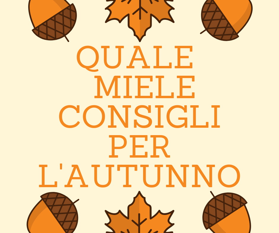 Qual è il miglior miele per autunno